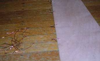 copperwire.jpg (40293 bytes)