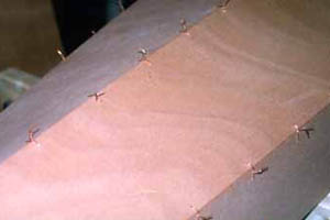 twistsmed.jpg (12240 bytes)