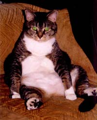 owen.jpg (17467 bytes)